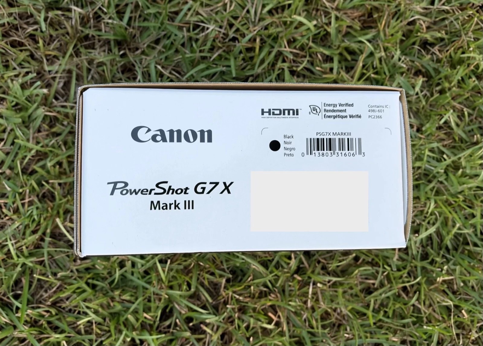 1791880509985280.jpg